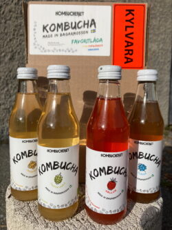 Flaskor som ingår i KOMBUCHERIET Favoritlåda, kombucha made in Bagarmossen, Stockholm, Sverige