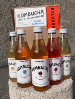 Flaskor som ingår i KOMBUCHERIET Kombucha Vinterblandning made in Bagarmossen, Stockholm, Sverige
